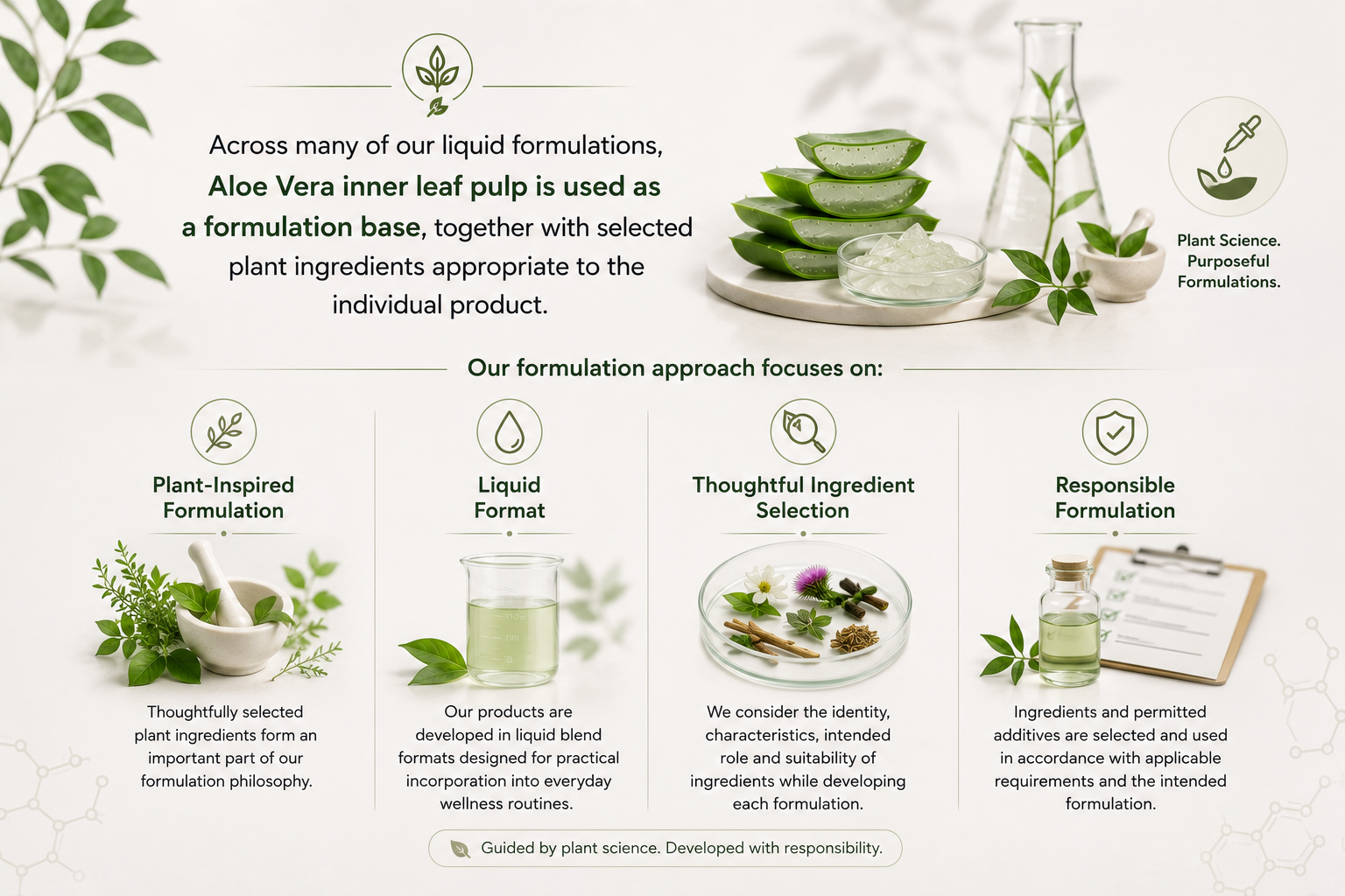 Aloe Vera inner leaf pulp with plant-inspired formulation, liquid format, thoughtful ingredient selection and responsible formulation